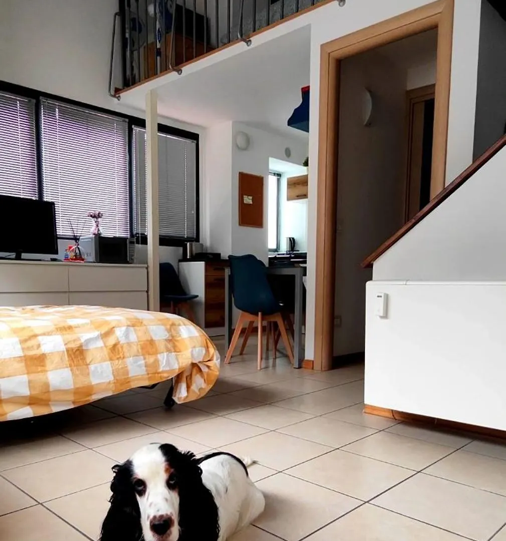 Gemme Fiorentine Apartments In Front Of The Train Station 5 Minutes From The Centre Free Parking Firenze